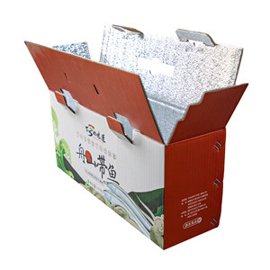 <span class=keywords><strong>Cajas</strong></span> de cartón de transporte isotérmico de papel de aluminio reforzado duro Caja de papel térmico Caja de envío aislada de cadena fría - Product Image 5