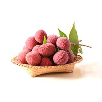 Verse Sappige Lychee Uit Vietnam Met Concurrerende Prijs Biologische Landbouwpraktijk 10 Kg/box Premium Minh Trang Viot