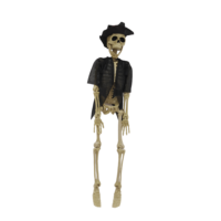 Décorations de fête Effrayant Suspendu Corps Pleine Taille Squelette Humain Articulations Mobiles Halloween Squelette En Plastique