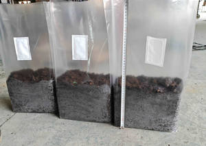 Máquina Automática para Hacer Bloques de Sustrato para Hongos, Máquina de Llenado y Embolsado de Sustrato para Hongos Ostra, Embolsadora de Hongos Shiitake - Product Image 3