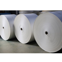 Rouleau géant en papier blanc écologique, fabricant du Guangdong, rouleau de matériau de tasse en papier