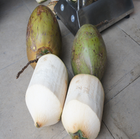 Nouvelle conception de machine à peler les noix de coco entièrement automatique, faible bruit, pour noix de coco vertes tendres, équipement de traitement