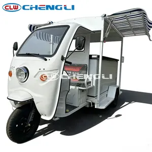 Triciclo Refrigerado CLW, Vehículo de Tres Ruedas para Transporte Refrigerado, Triciclo Eléctrico con Caja de Carga Grande - Product Image 3