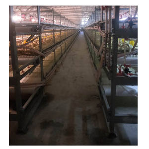 Jaula para transporte de pollos, jaula para transporte de pollos, 3x3 - Product Image 5