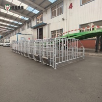 Enclos de gestation pour truies, fabricant direct, boxes de gestation pour porcs en acier galvanisé, équipement d'élevage porcin, vente en gros