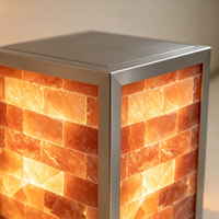 Armoire en acier inoxydable avec cubes de sel de l'Himalaya éclairés par LED, écologique, pour l'halothérapie en spa et la décoration intérieure
