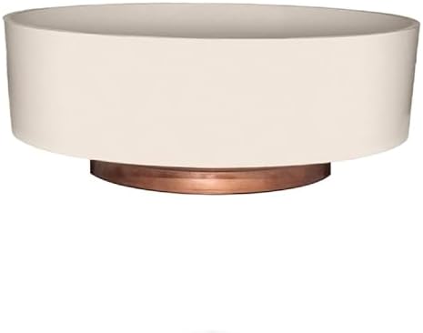 8" - biscuit vanille