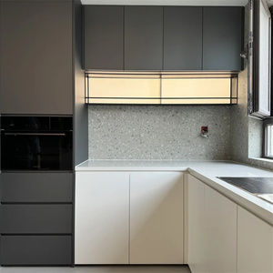 Popolare angolo cottura moderno impostato in cucina di Design cina armadio in melamina con carcassa in acciaio lavello per uso appartamento - Product Image 3