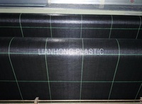 Toile de paillage en polypropylène tissé avec grille, tissu de contrôle des mauvaises herbes en plastique agricole, couverture de sol en PP PE