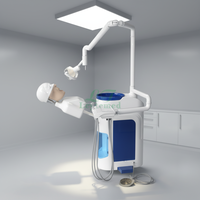 LTDT01 Simulador de Extracción Dental, Modelo de Entrenamiento, Modelo Dental de Estudio, Unidad Simuladora de Cabeza Dental