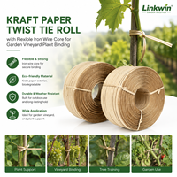 Rouleau de fil de fer torsadé en papier kraft avec noyau en fil de fer flexible pour la fixation des plantes dans les jardins et les vignobles