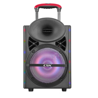Speaker Trolley YE-12 12 Inch Isi Ulang Daya, Lampu LED RGB, Speaker Karaoke Pesta Dengan Dua Mikrofon Nirkabel Untuk Luar Ruangan