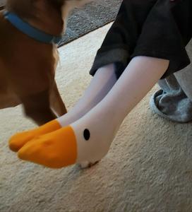 Calcetines Divertidos con Cabeza <span class=keywords><strong>de</strong></span> Ganso, Calcetines <span class=keywords><strong>de</strong></span> Animales, Regalos para Mujeres, Adolescentes y Niñas - Product Image 5