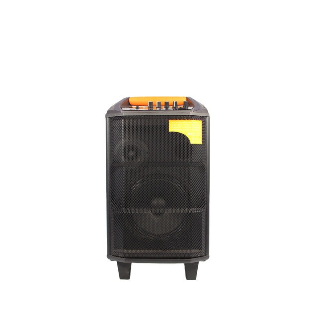 Best Quality Professional 8 Inch Portable Wireless Outdoor Trolley Speakers