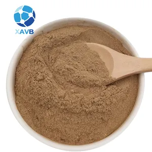 Gynostemma Extract Powder 98% Gypenoside Powder CAS 15588-68-8