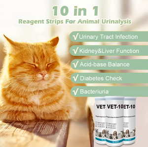 Tiras Reactivas de Orina para Análisis de Orina Animal, Prueba de pH en Sangre, 10 Parámetros (Vet-10) para Perros y Gatos - Product Image 3