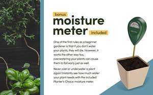 Capteur NPK numérique en gros d'usine pour la culture de succulentes de <span class=keywords><strong>cactus</strong></span> meilleur Kit de testeur de PH humidimètre pour pots de fleurs jardinières - Product Image 3