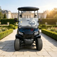 Voiture de golf personnalisée homologuée pour la route, 2 places, moteur à essence 4 temps, 30-50 km/h, batterie au lithium
