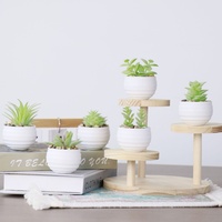 Plantes succulentes artificielles miniatures personnalisables, 6 pièces, avec pots, plantes en pot artificielles pour le bureau, la maison, la décoration