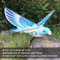 AiJH RC oiseau volant jouet avion 2.4 GHz télécommande volant électronique mini Drone éducation RC e-bird jouets