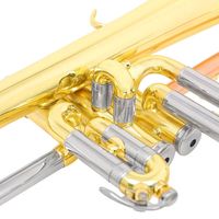 Flugelhorn Profesional Bb Lapisan Emas Kuningan Fosfor Pipa Tiup Kuningan Bodi Kuningan Flugel Horn Populer Grosir