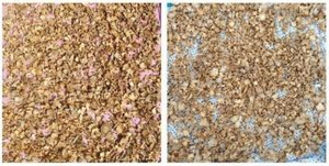 Compre Rodajas/Escamas de Cúrcuma Negra Seca de Primera Calidad, Hechas Naturalmente con Múltiples Usos, Rodajas/Escamas de Cúrcuma Negra - Product Image 3