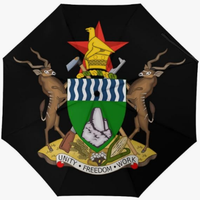 Parapluie entièrement automatique de haute qualité, imprimé du drapeau du Zimbabwe, style national créatif, souvenir pratique pour les voyages
