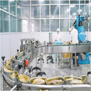 Macchina ad Alta Efficienza per Taglio, Lavaggio e Inscatolamento di Sardine e Sgombri, Linea di Lavorazione per Inscatolamento di Pesce - Product Image 4