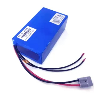 Hoge Kwaliteit 48Volt 12V 24V 48V 60V 72V 10ah 12ah 20ah 30ah 40ah Lithium batterij Voor Elektrische Scooter