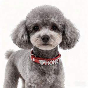 Collier pour chat personnalisé avec logo, livraison rapide, en PU de luxe, avec lettres brillantes et boucle en cristal pour DIY - Product Image 6