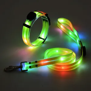 Collar y correa recargable por USB de alta calidad, correa ajustable con luz LED intermitente para perros, correa de nailon para mascotas