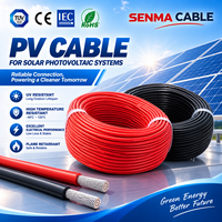Câble de station d'énergie solaire photovoltaïque 4 mm en cuivre avec isolation XLPO, homologué EN 50618, monoconducteur, indice de protection IP67, basse tension