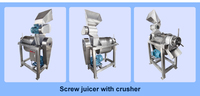 Presse à froid électrique industrielle Machine à jus lente Machine à presser les pommes, ananas, poire et orange Extracteur de jus de fruits