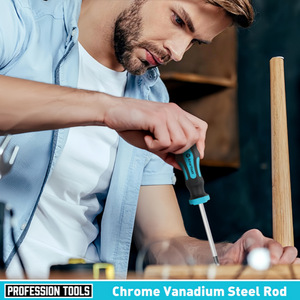 ชุดไขควงแม่เหล็ก Pro Tool 12 ชิ้น แบบหัวแฉกและหัวแบน ทำจากเหล็ก ขนาด 37x28x8 ซม. พร้อมป้ายกำกับ - Product Image 2