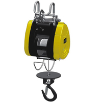 Nouvelle mini-treuil électrique monophasé en aluminium de 250 kg avec câble de levage et télécommande pour restaurants, hôtels, magasins de matériaux de construction