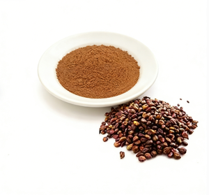 Extrait de Pépins de Raisin Haute Pureté Proanthocyanidines (OPCs) - Ingrédient Végétal en Vrac Défense Avancée Contre les Radicaux Libres pour la Peau - Product Image 1