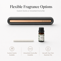 Diffuseur de parfum pour voiture en métal minimaliste, style épuré, support de parfum en alliage pour véhicule, vente en gros B2B, exportation directe usine