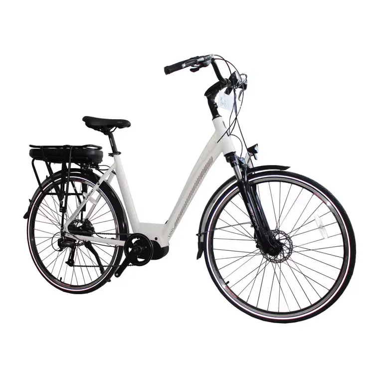 Elektro fahrräder E-Bike Fahrräder Stadt 1000 Watt Fett reifen 20 Zoll Elektro fahrrad billig E-Bike 26 28 Elektro fahrräder Stadt 1000 Watt