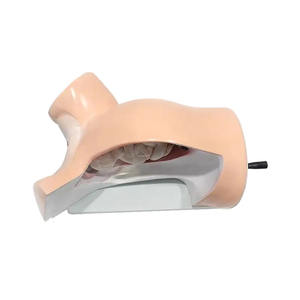 รูปแบบการเกิดของ<span class=keywords><strong>เด็ก</strong></span>ทางการแพทย์ของการเรียนการสอนในโรงเรียนการพยาบาล - Product Image 6