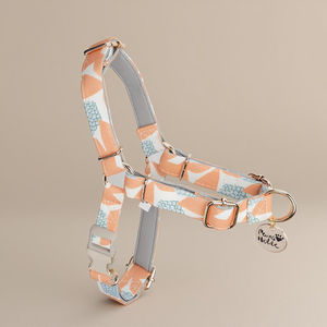 Arnés de lujo moderno para perros Accesorio de algodón transpirable Estilo encantador OEM ODM saludable de moda para tirar de perros - Product Image 1