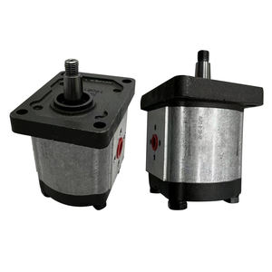 مضخة تروس هيدروليكية ALP2 من نوع ALP2-D-40 ALP2A-D-34-FG ALP2A-D-40-FG ALP2A-D-34-FG ALP2-D-34-FG ALP2-D-16-FG ALP2-D-20-FG ALP2-D-22-FG - Product Image 6