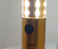 Bâton stroboscopique à LED Rechargeable, bâton scintillant, bouteille stroboscopique pour bouteille de Champagne, KTV, Bar, Club, fête