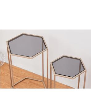 Juego moderno de estilo europeo nórdico de 2 mesas de centro anidadas hexagonales <span class=keywords><strong>Mesa</strong></span> De Caf - Product Image 6
