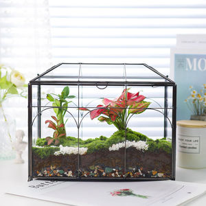 Terrario de Vidrio Grande y Alto para Plantas, con Tapa, para Interiores, de Sobremesa, para Orquídeas y Suculentas - Product Image 6