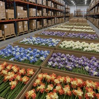 Realistiche Kunstmatige Iris Bloemen Lange Steel Kunstmatige Iris Takken voor Vaas Bruiloft Huis Kantoor Decoratie Groothandel