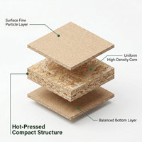 Panneaux décoratifs en panneaux de particules mélaminés anti-humidité de 10 mm au design moderne, certifiés ISO9001 pour les meubles de salon