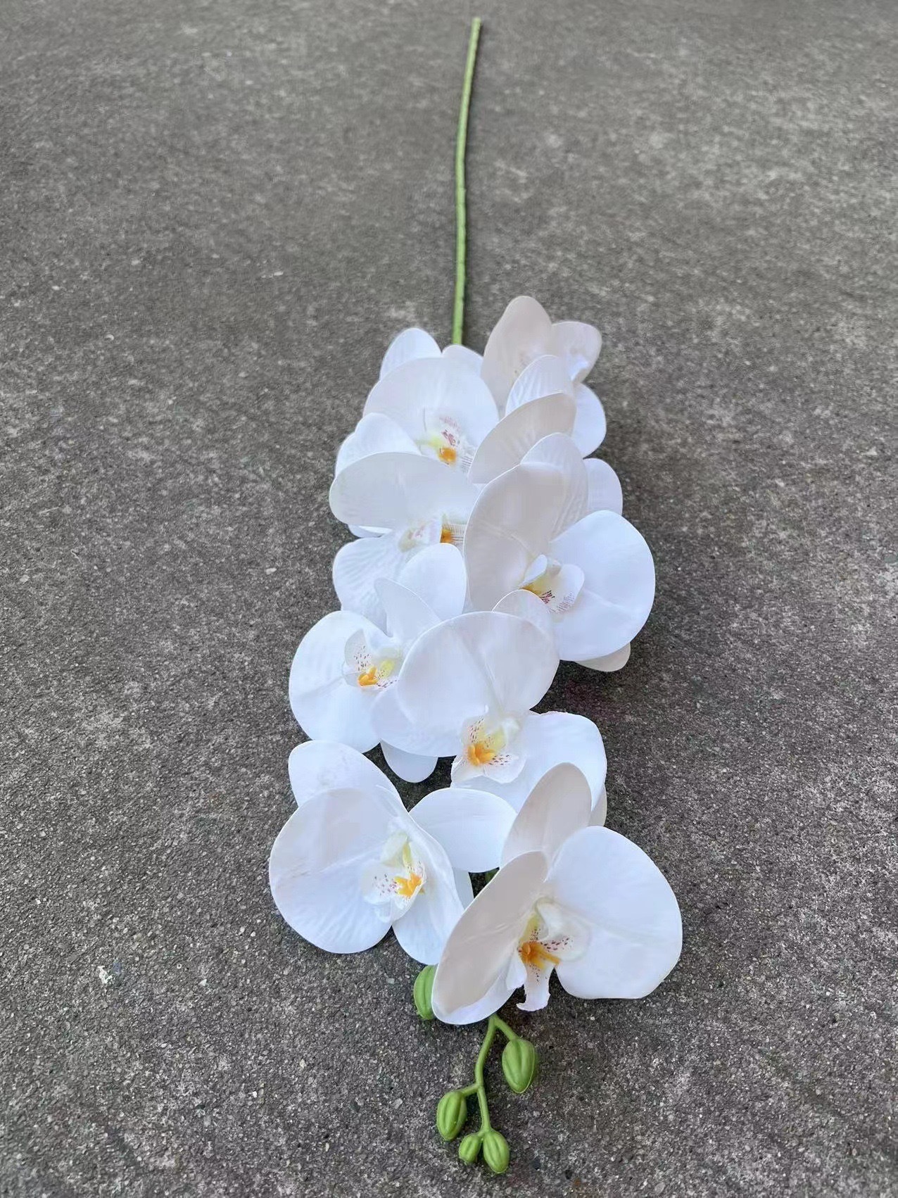 Orchidea farfalla 3D a 9 teste bianca