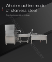 Industriële fruitpelschilmachine van roestvrij staal, commerciële fruitverwerkingsinstallatie, appel- en perenpelschiller, appelontpittermachine