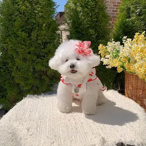 Lovable Strawberry Pattern Pet Thin Skirt Dog Dress For Spring Summer