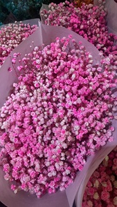 Aliento de bebé preservado versátil de 100-120g al por mayor para decoraciones de boda - Product Image 3